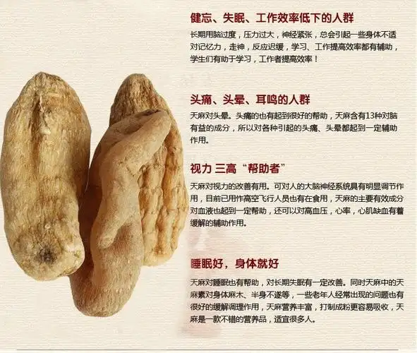 大别山天麻:主治头晕头痛:失眠多梦:记忆下降