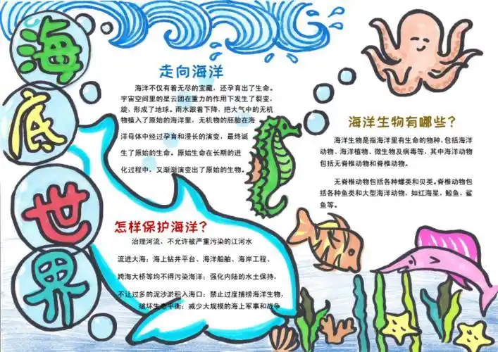 海洋动物知识的手抄报科普知识的手抄报