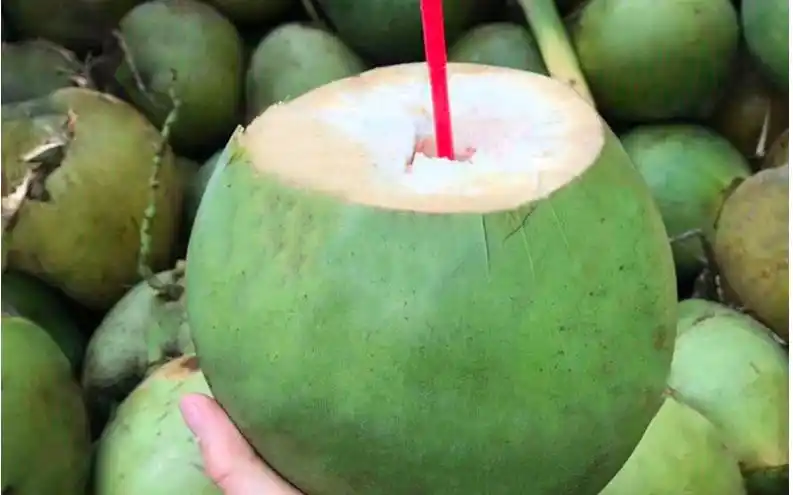 迭果 顺丰快递海南特产文昌带皮青椰子三亚绿皮牛奶老椰子天然优质奶