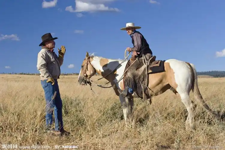 牛仔与马高清图片