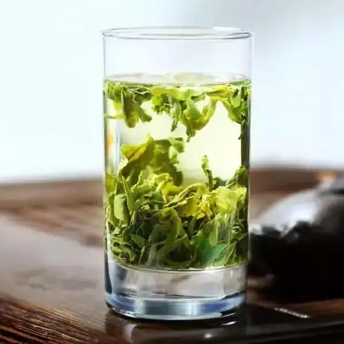 景区快讯 | 春天来了,请你品一杯中国最北端的绿茶