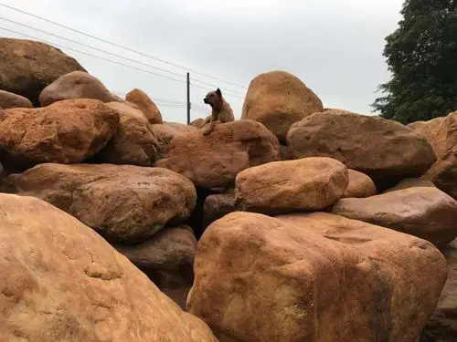 风景石公园广场自然石景观石