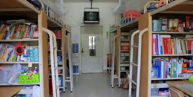 回顾河南大学生因一个"梦",醒后不听劝阻出家当尼姑后来怎样了