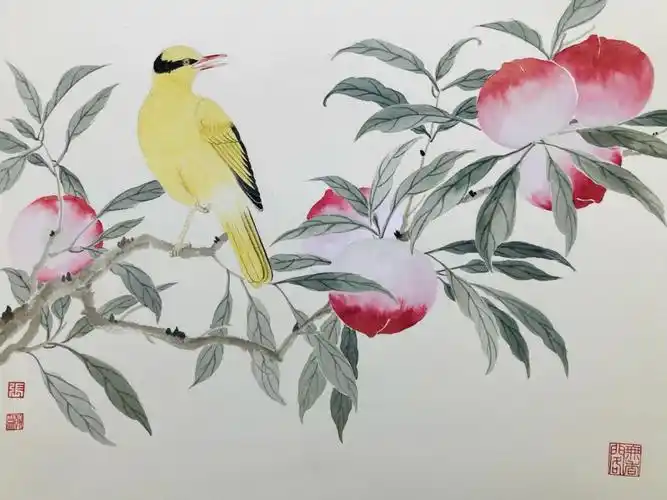 没骨画第六十七幅黄鹂鸟