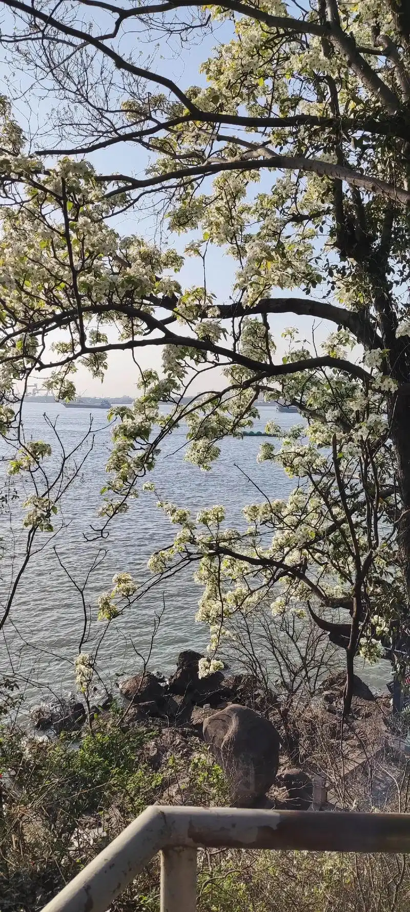 人生如梦,一尊还酹江月. - 抖音