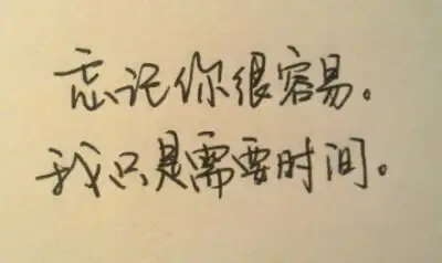 忘记你很容易,我只是需要时间.