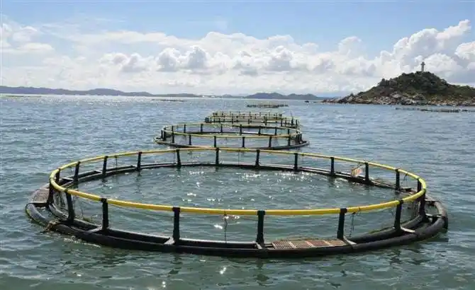 鱼笼网箱深海抗风浪框架φ200500