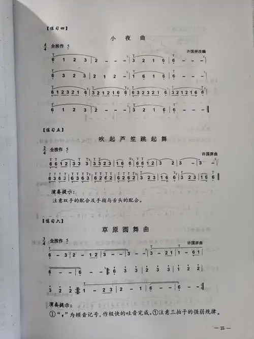 葫芦丝巴乌实用教程一