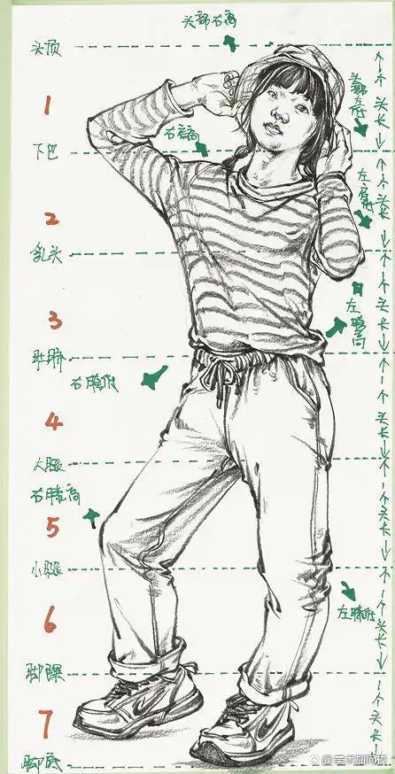 速写人物:人体各动态比例