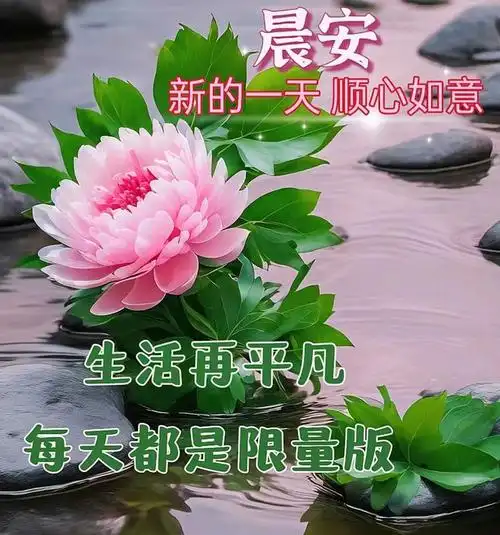 10月29日周日早上好最新版漂亮早安祝福语表情图片大全愿君周末吉祥