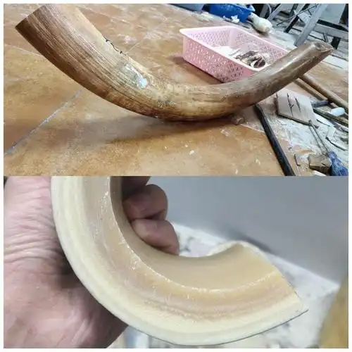 猛犸象牙与现代象牙的区别和鉴别真假的方式?必看!