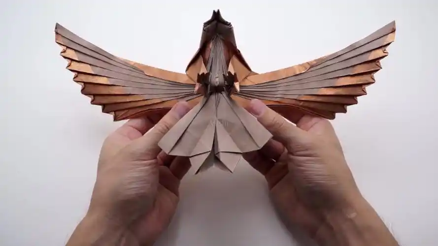 折纸老鹰的指甲