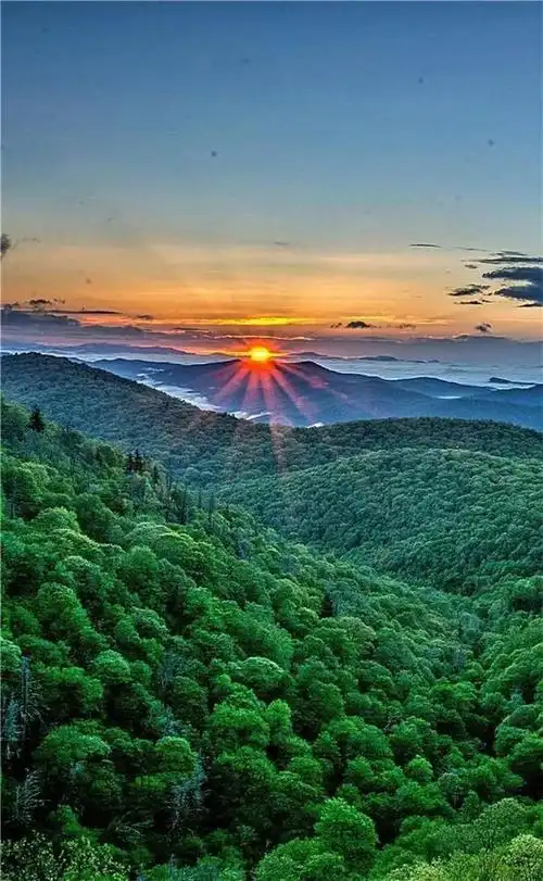 保护眼睛的桌面壁纸,绿色桌面背景图护眼(高清养眼绝美手机壁纸102张)