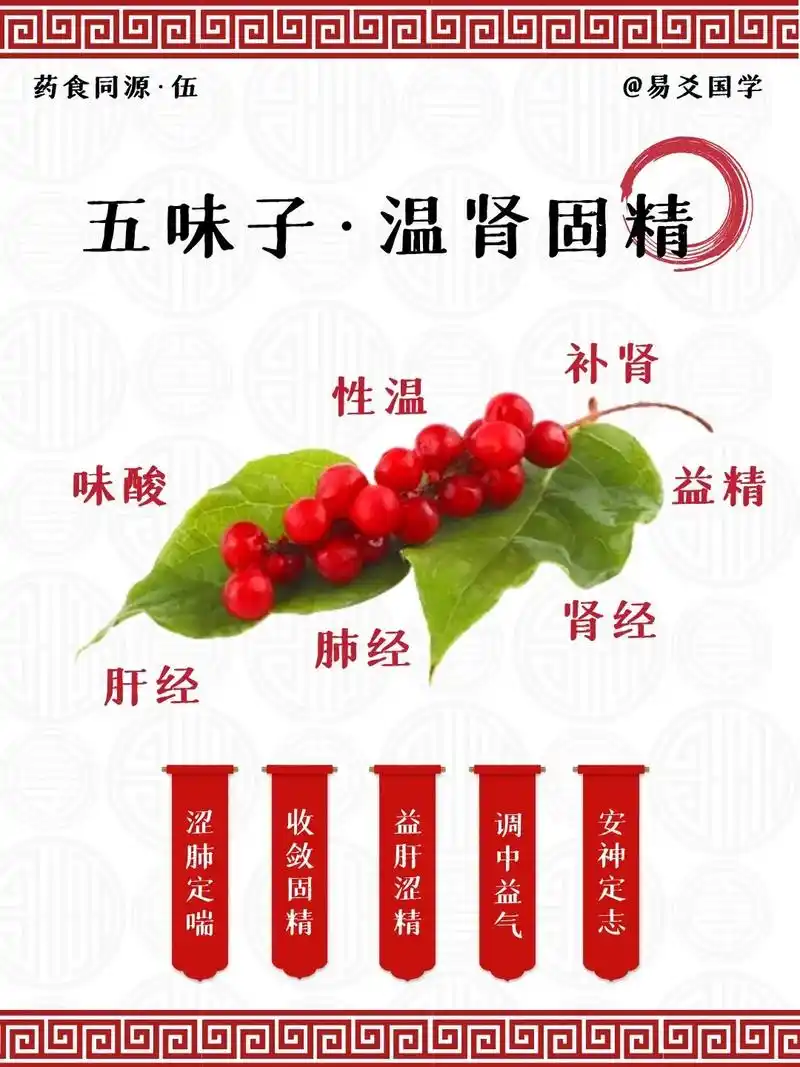 97五味子的营养功效 95 - 抖音