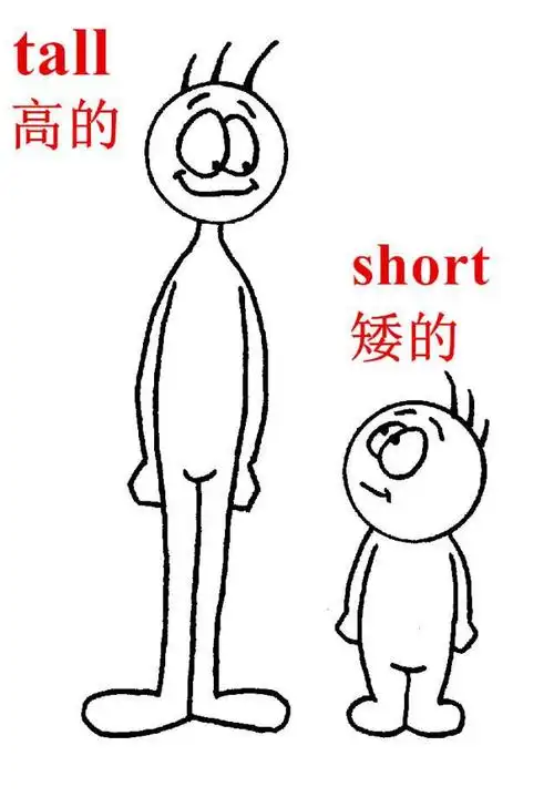pep小学英语三年级下册unit3:thin,fat,tall,short