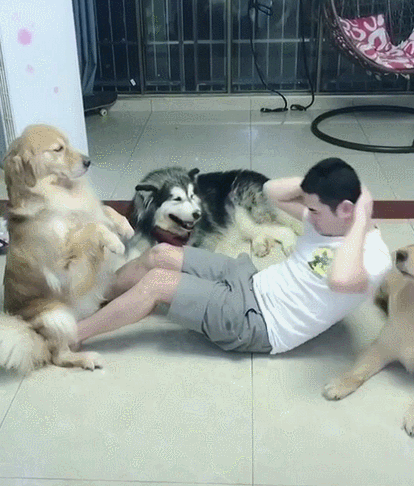 主人健身,狗子操碎了心:为了这个家我付出太多!