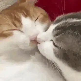 有什么适用于和老公/男票撒娇的可爱表情包?