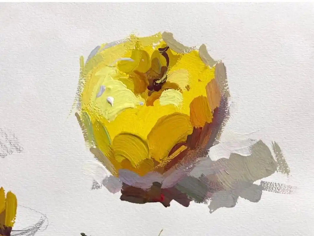 最适合初学色彩的苹果画法