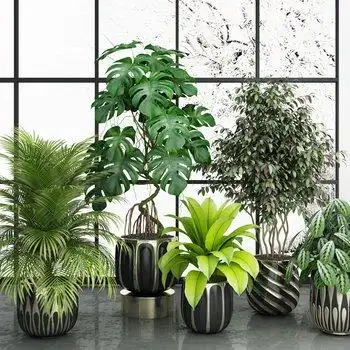 现代绿植盆栽组合