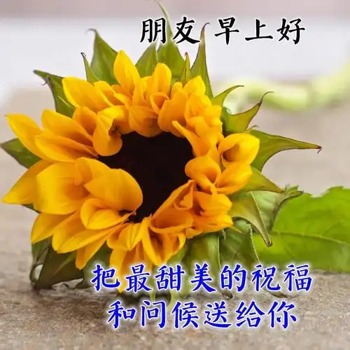 2021年早上好问候语图片表情全集,新的一年最美的早安祝福语带图片