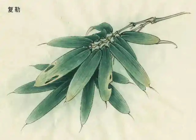 工笔画18种染色技法巧密而精细