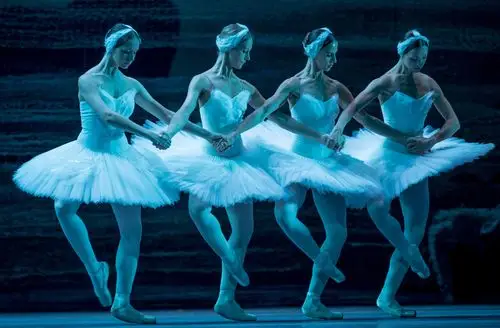 bolshoi ballet: swan lake - photocall (yulia lunkina)