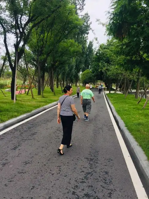 2019年6月16日早上在成都市青羊区金沙遗址公园内散步.这里刚刚下了点