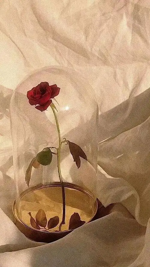 情感背景图片(情感背景图片2022新款)-天晟网