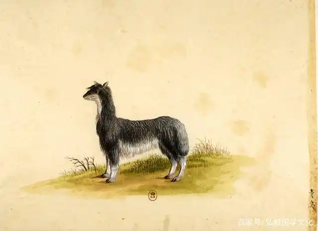 十八世纪乾隆时期的画谱,外国画家用西方技法描绘的中国动物