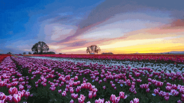 640_360gif 动态图 动图