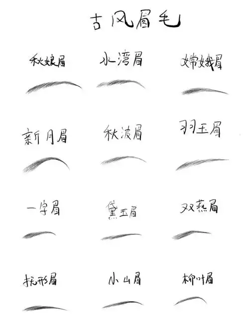 眉毛结构古风画法