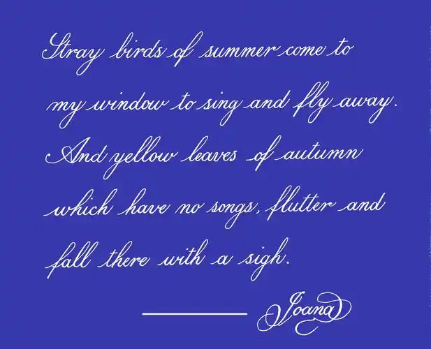 【周侗英文书法】圆体一期,毕业作品集