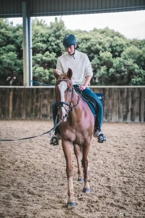 男星意气风发的骑马照#点击收看黄景瑜帅气骑马靓照,憨憨帅哥在线学