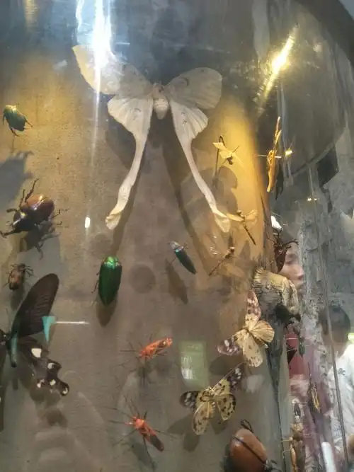 上海科技馆一日游