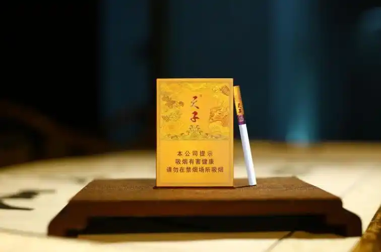 天子(中支):纯正中国味 中支新典范-搜狐大视野-搜狐新闻