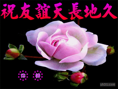 祝福友谊天长地久鲜花gif动图_动态图_表情包下载_soogif