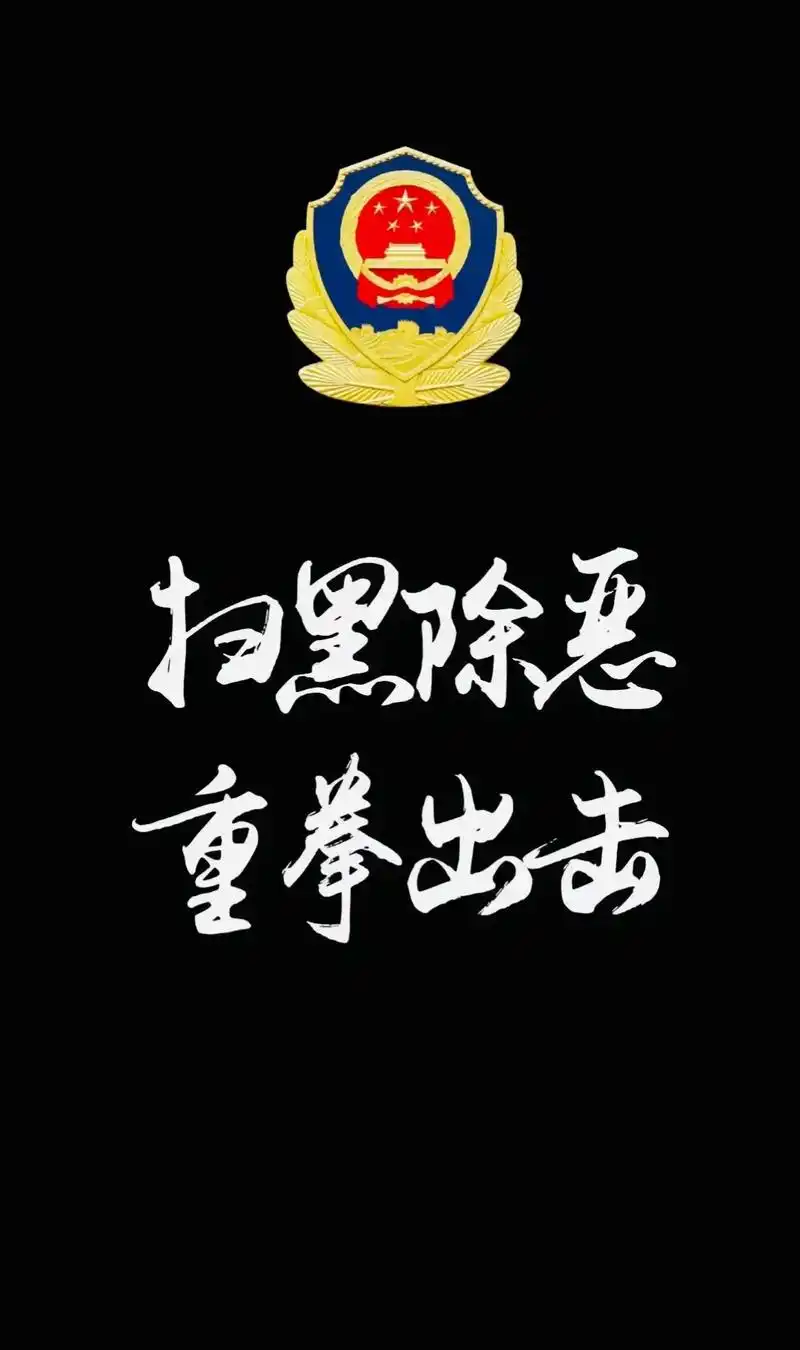 国徽息屏显示壁纸 - 抖音