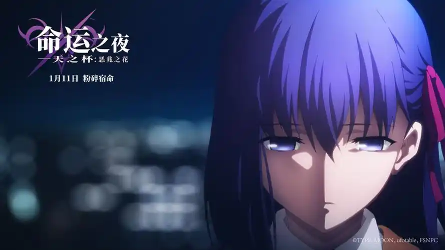 fate《命运之夜——天之杯:恶之花》最全高清剧照整合