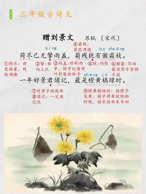 小学古诗赠刘景文荷尽已无擎雨盖