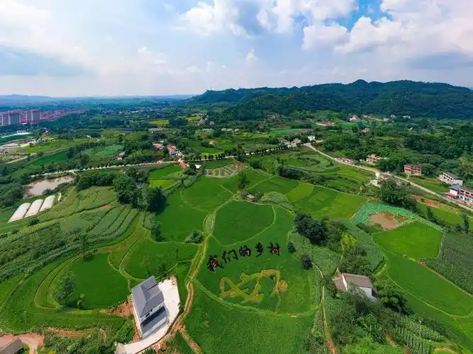 夯实三农基础推进乡村振兴宜宾交出亮眼答卷