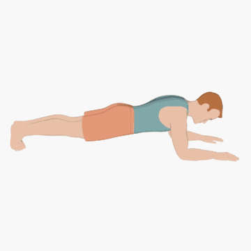 平板支撑tipsplank天气转暖,为了迎接春天的到来,也为了呈现更好的