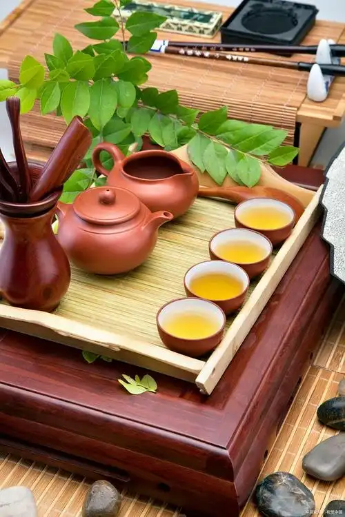 人生如茶淡而有味,细品生活点滴,领悟苦涩背后的甘甜