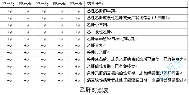 e好孕-乙肝对照表.png