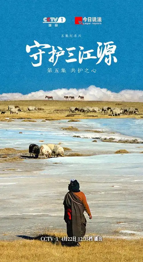 为应对"熊出没",官方与民间积极探寻解决方法,挖掘与野生动物相融共生