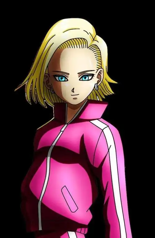 龙珠壁纸:女神18号,永远的信仰