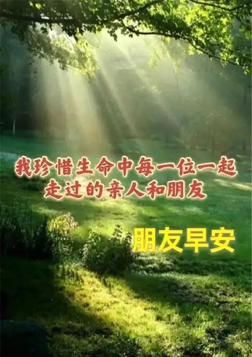 8张创意唯美亲人朋友早上好祝福语图片大全免打字夏日清晨友谊早安