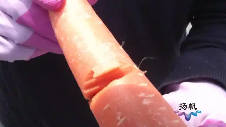 男子放风筝手掌被割断一根细线怎么成了无影刀