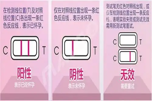 验孕棒使用图解康先达验孕棒怎么用法