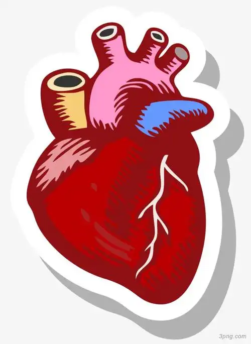 红色心脏矢量卡通风格