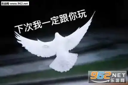 下次我一定跟你玩鸽子表情包-带着微笑入睡图片表情包下载-乐游网游戏